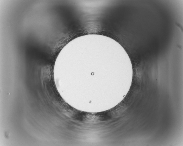 X0000103900311200810031155