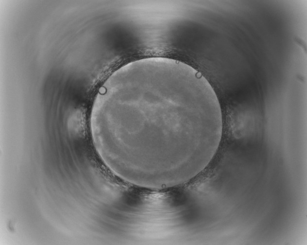 X0000103900312200810031155