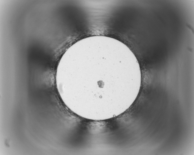 X0000103900313200810031155