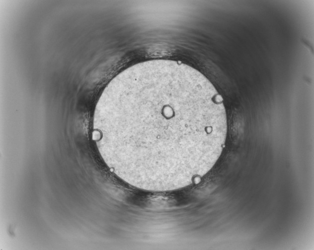 X0000103900315200810031155