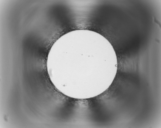 X0000103900317200810031155