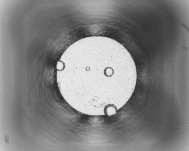 X0000103900319200810031155