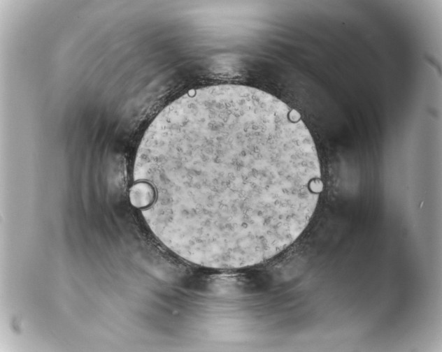 X0000103900320200810031155