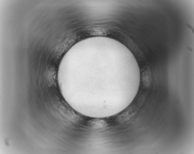 X0000103900322200810031155