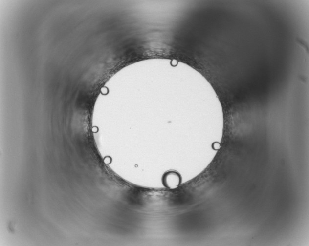 X0000103900323200810031155