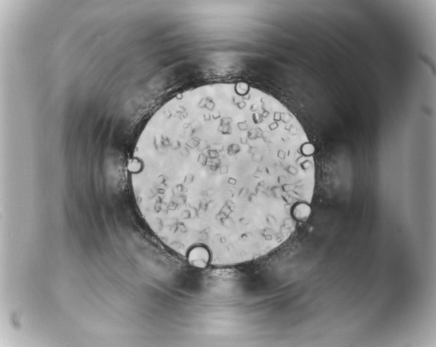 X0000103900324200810031155