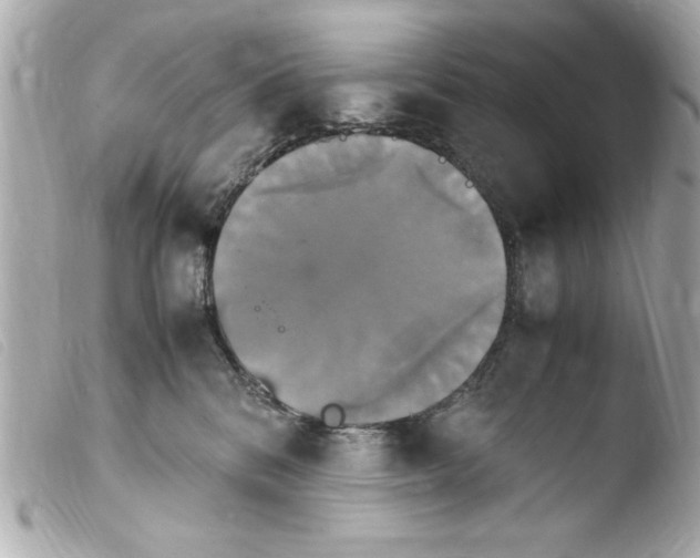 X0000103900328200810031155