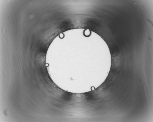 X0000103900329200810031155