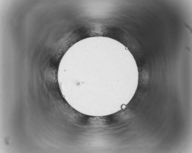 X0000103900331200810031155