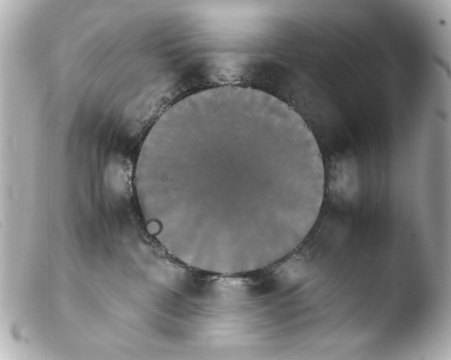 X0000103900332200810031155