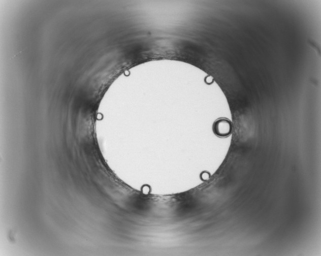 X0000103900333200810031155