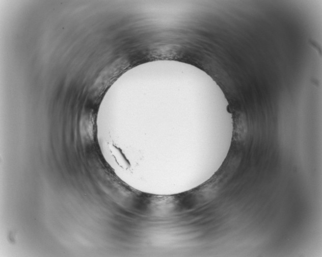 X0000103900334200810031155