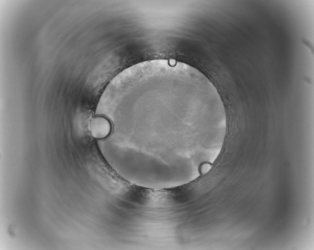 X0000103900336200810031155