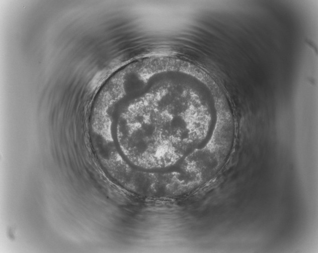 X0000103900337200810031154