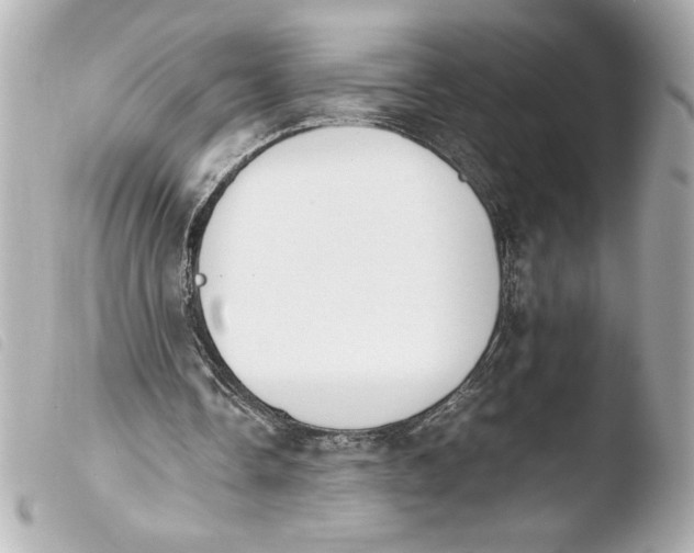 X0000103900338200810031154