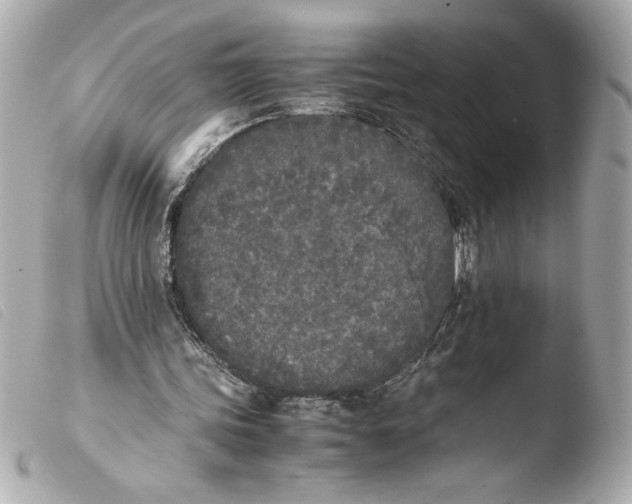 X0000103900339200810031154