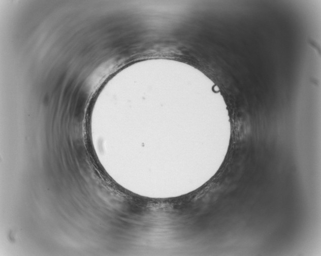 X0000103900340200810031154