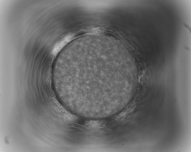 X0000103900341200810031154