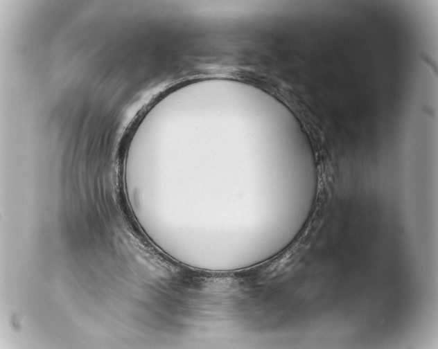 X0000103900342200810031154