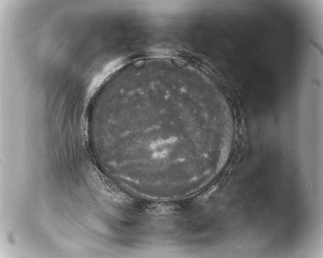 X0000103900343200810031154