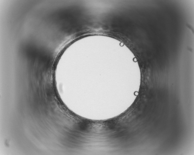 X0000103900344200810031154