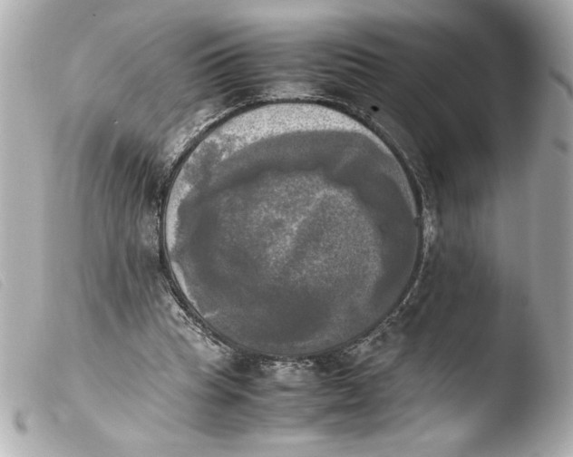 X0000103900345200810031154