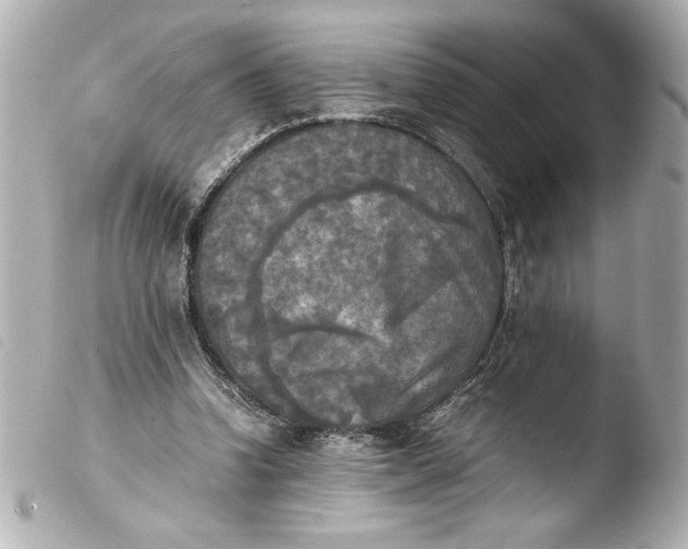 X0000103900346200810031154