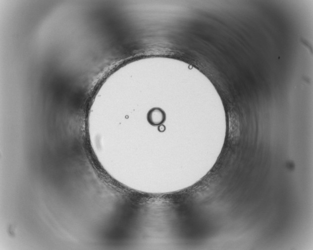 X0000103900348200810031154