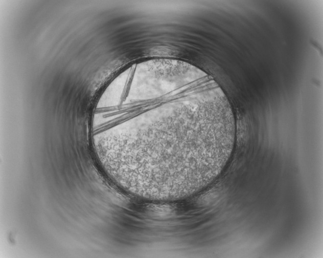 X0000103900349200810031154