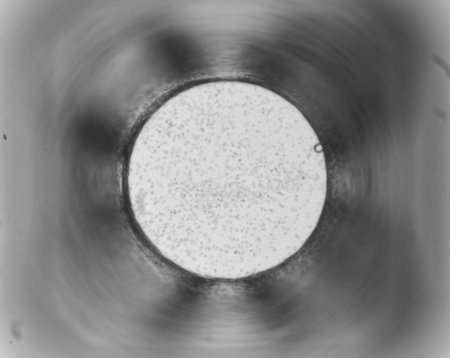 X0000103900350200810031154