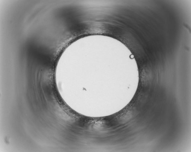 X0000103900352200810031154