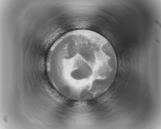 X0000103900354200810031154