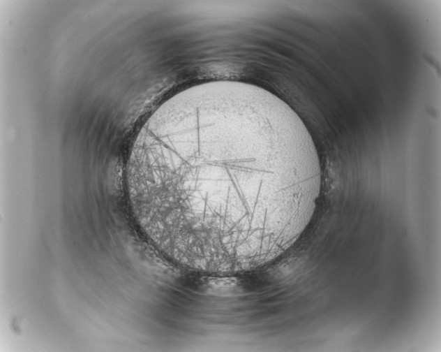 X0000103900355200810031154