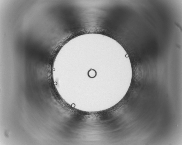 X0000103900356200810031154