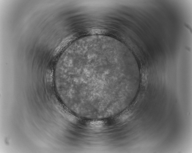 X0000103900357200810031154