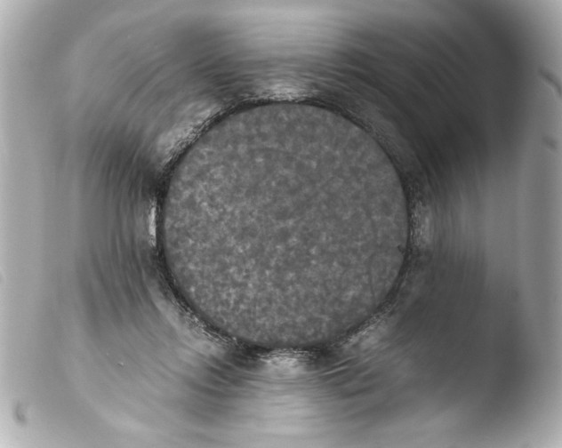 X0000103900358200810031154