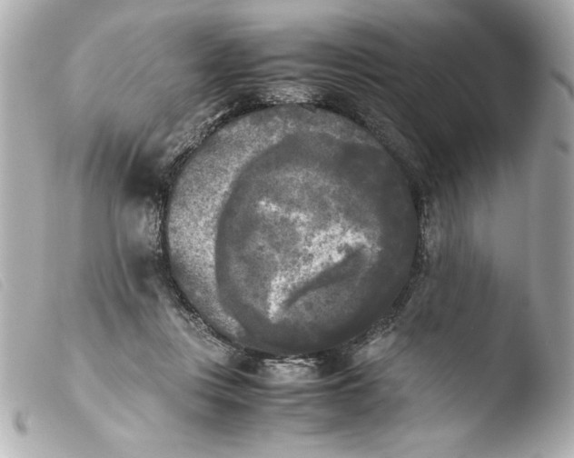 X0000103900359200810031154