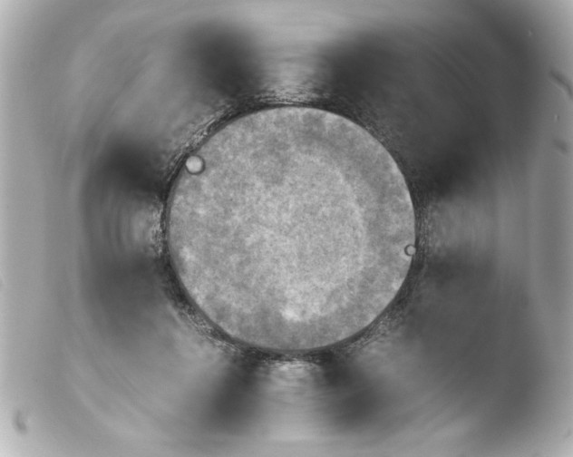 X0000103900360200810031154