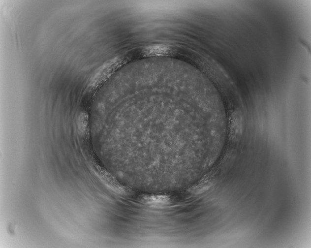 X0000103900361200810031154