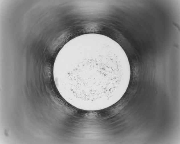 X0000103900362200810031154