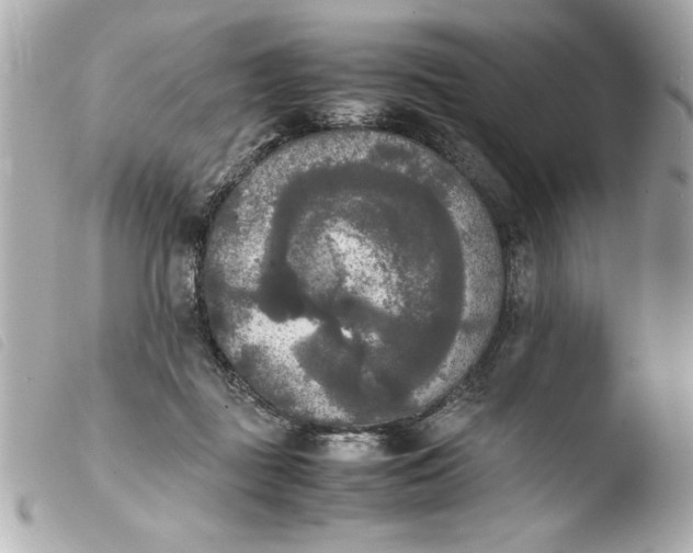 X0000103900363200810031154