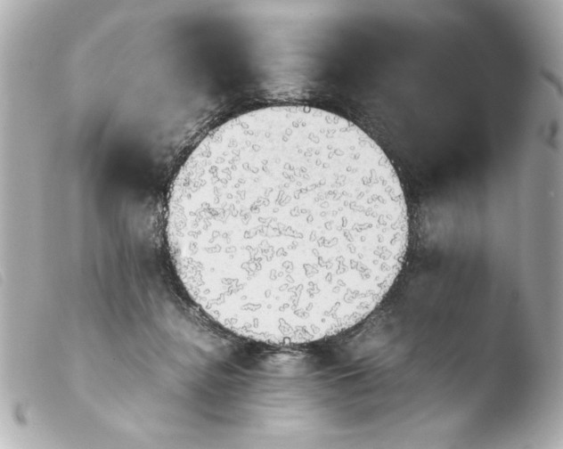 X0000103900364200810031154