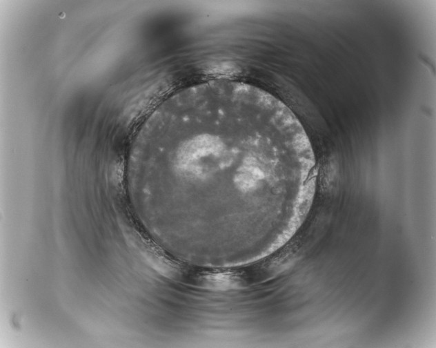 X0000103900365200810031154