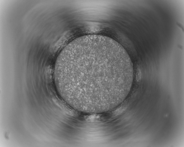 X0000103900366200810031155