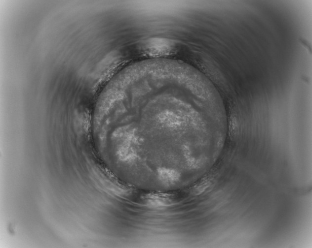 X0000103900367200810031155