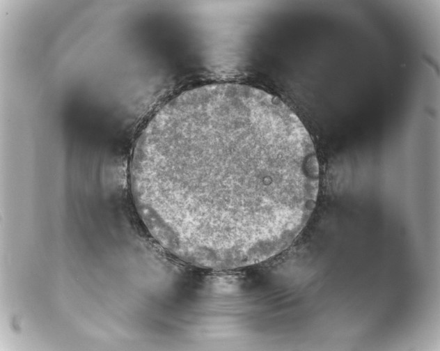 X0000103900368200810031155