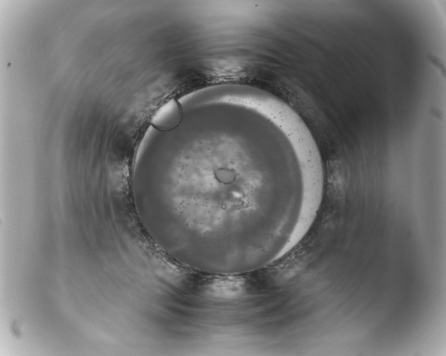 X0000103900369200810031155