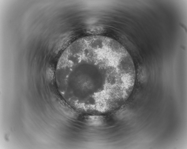 X0000103900371200810031155