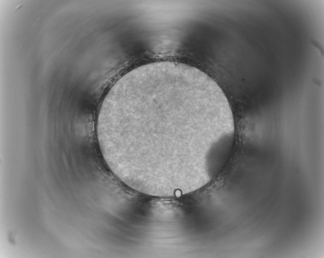 X0000103900372200810031155