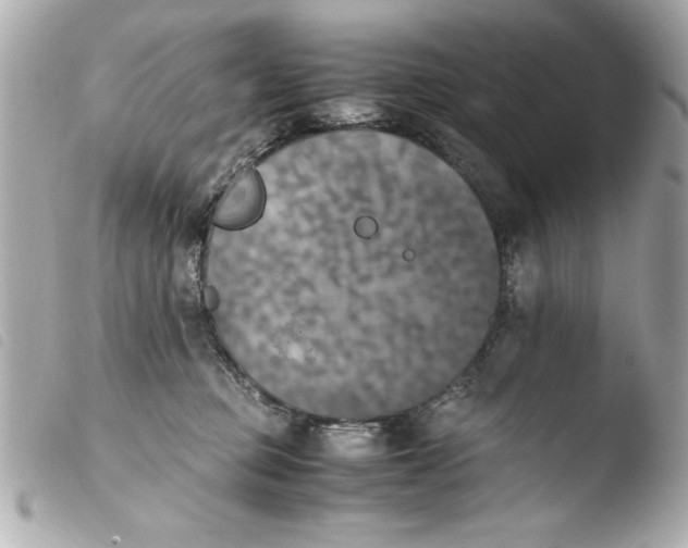 X0000103900373200810031155